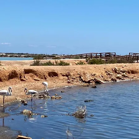 Higuericas Costa 223 - Planta Baja Soleada En Residencial Con 2 Piscinas Apartment Pilar de la Horadada